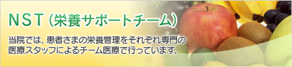 NST�y�h�{�T�|�[�g�`�[���z